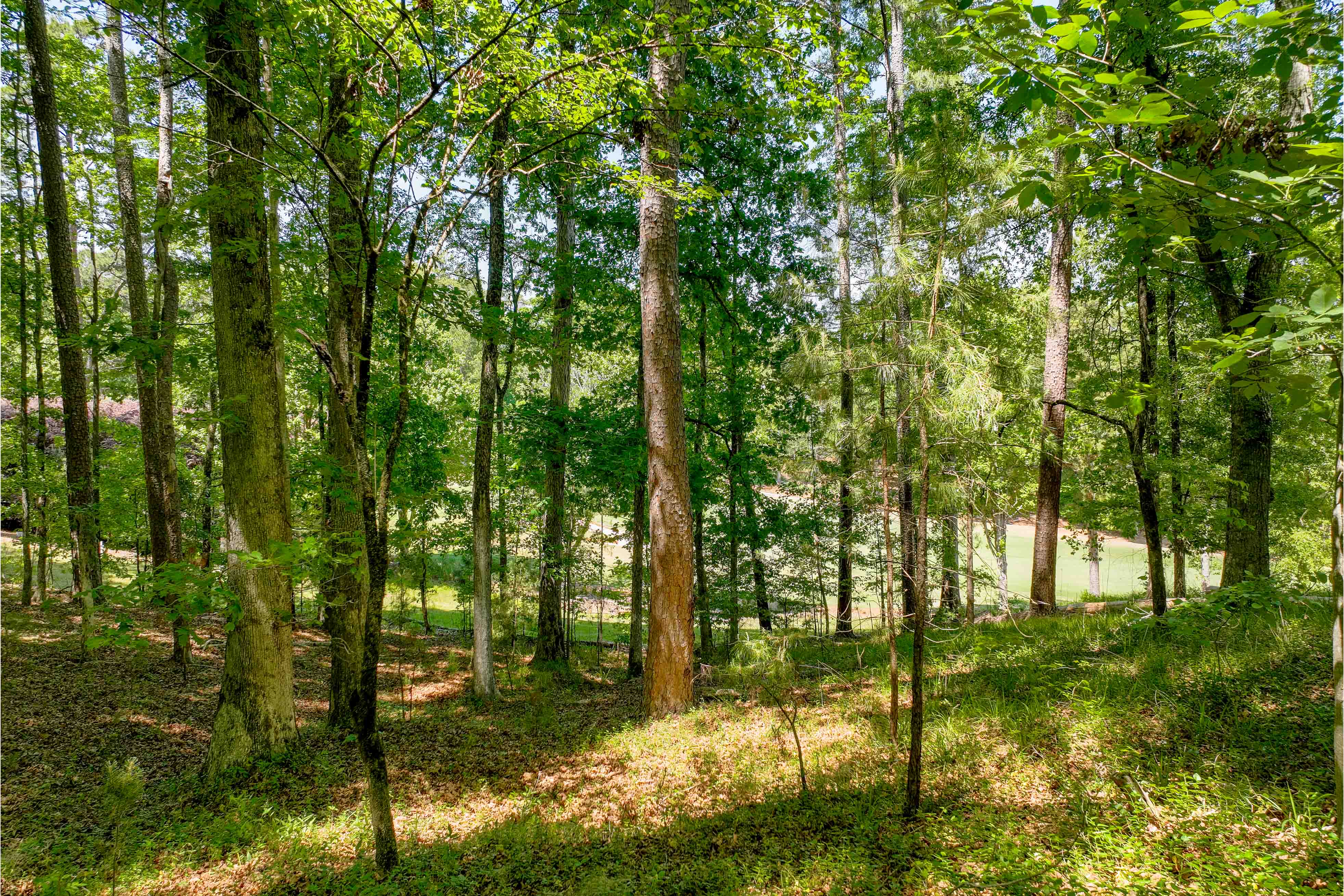 1000 Curtright Place image 6